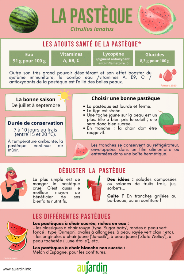 découvrez comment choisir la parfaite pastèque pour vos journées d'été. nos conseils vous aideront à sélectionner un fruit juteux et sucré qui ravira vos papilles et rafraîchira vos réunions estivales.