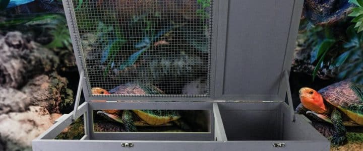 découvrez notre enclos pour tortue intérieur, conçu pour offrir un habitat sûr et confortable à votre reptile. fabriqué avec des matériaux de qualité, cet enclos stimule l'activité naturelle de votre tortue tout en facilitant son entretien. parfait pour les propriétaires soucieux du bien-être de leur animal de compagnie!