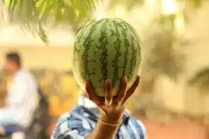 Comment choisir la meilleure pastèque pour vos repas d'été