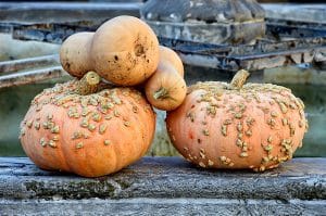 Recette savoureuse de courge delicata au four